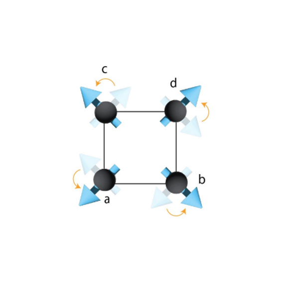 自旋空间群操作在实空间与动量空间中的作用