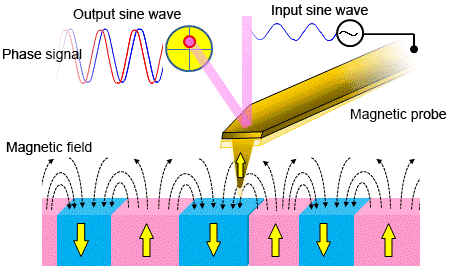 磁力显微镜(MFM )探测 Meissner 效应