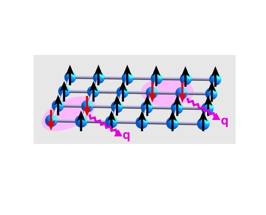 超导态的自旋激发